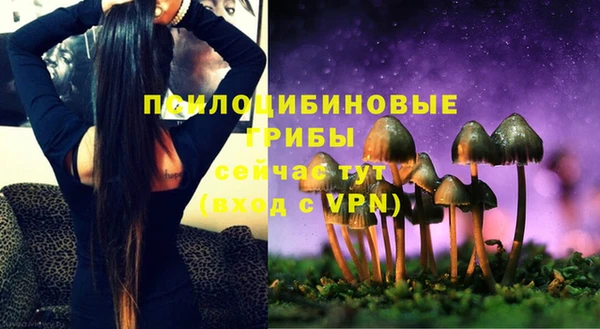 ПСИЛОЦИБИНОВЫЕ ГРИБЫ Лагань
