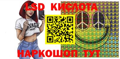 стафф Донской