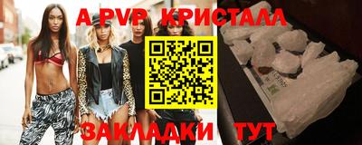 стафф Донской