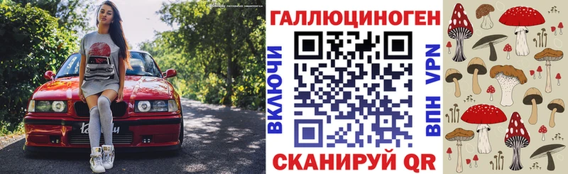 Псилоцибиновые грибы Psilocybe  блэк спрут как войти  Новошахтинск  дарнет шоп 